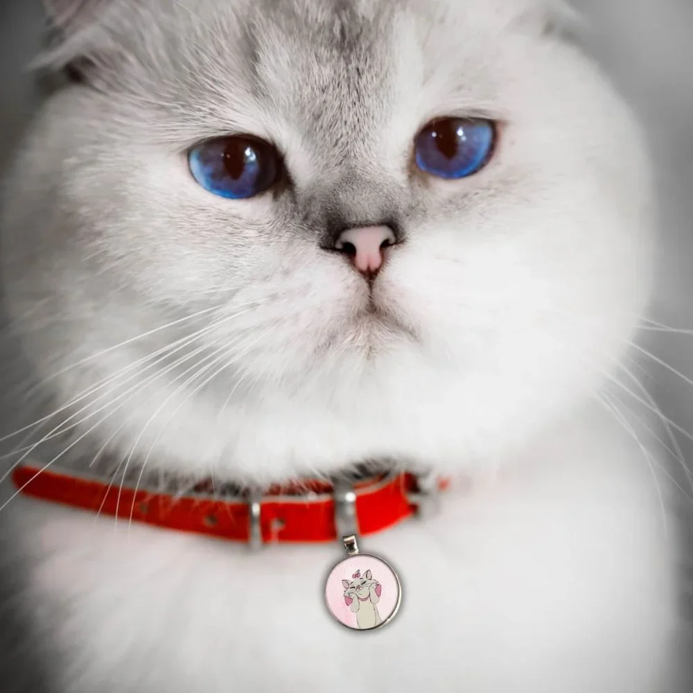 Disney Aristocats-Pet Tag 